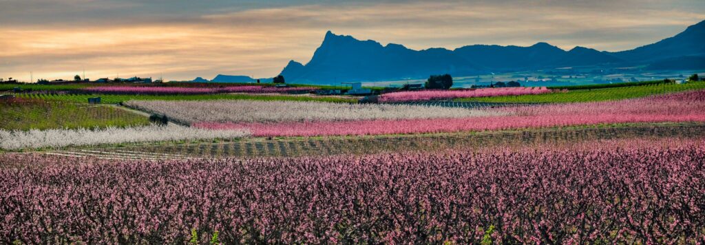 Los mejores destinos de España para visitar en autocaravana