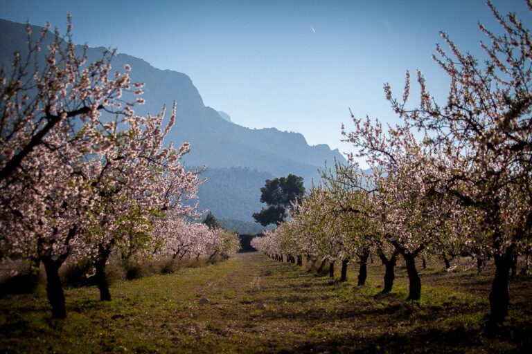 viajar fuera de temporada