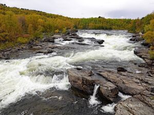 de Cabo Norte a Estocolmo por Laponia en autocaravana