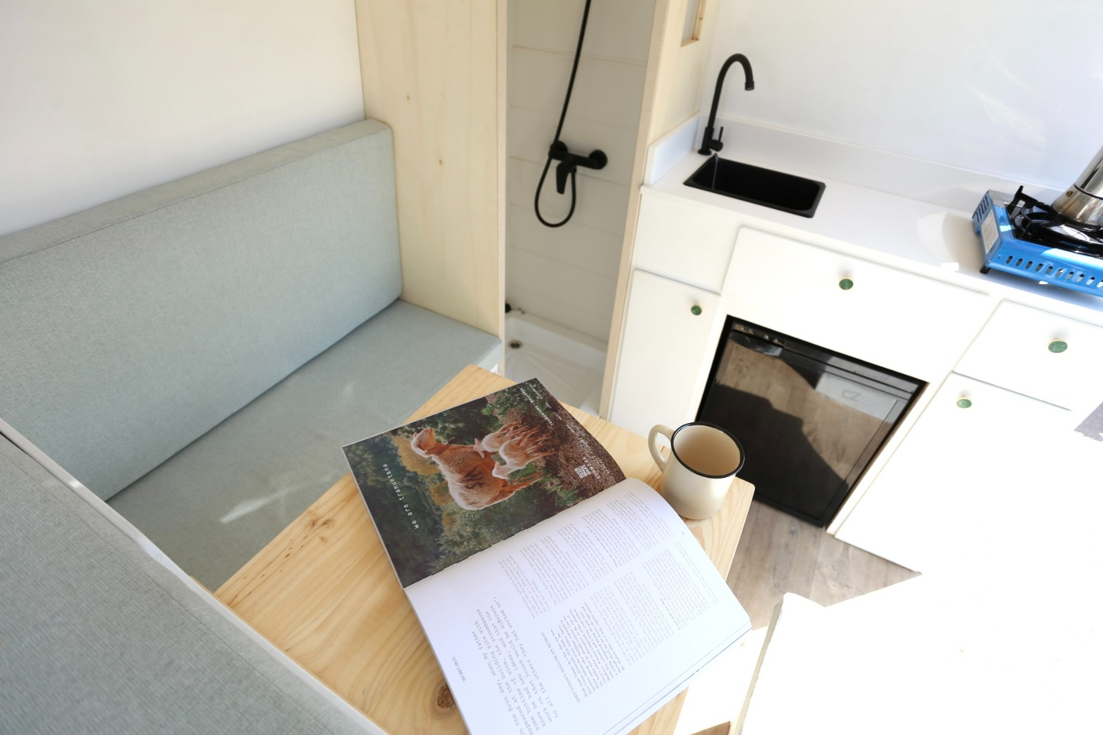 Campereta-de-Franja-Negra-1-1