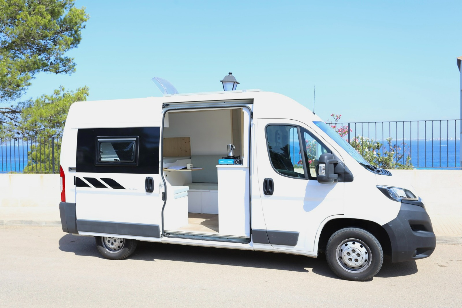 Campereta-de-Franja-Negra-1