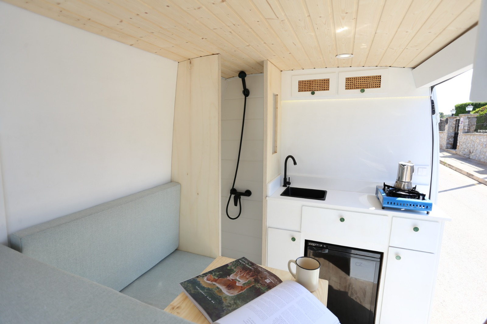 Campereta-de-Franja-Negra-10