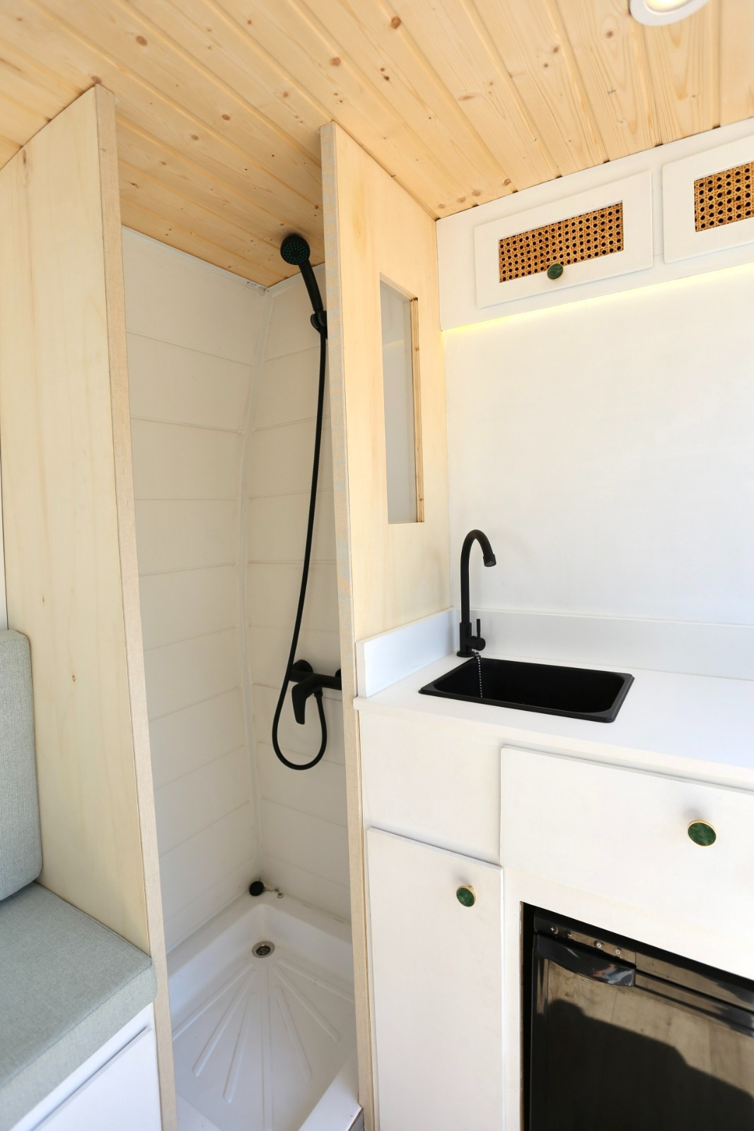 Campereta-de-Franja-Negra-5