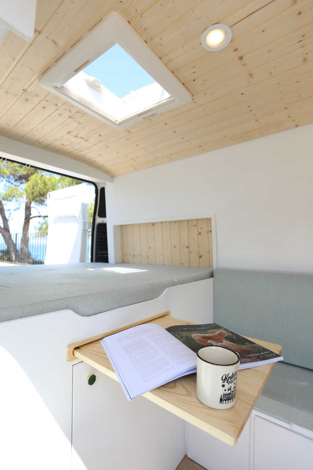 Campereta-de-Franja-Negra-6