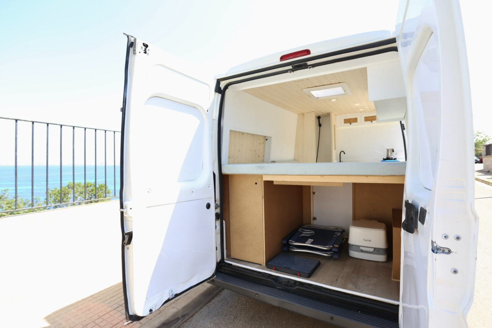 Campereta-de-Franja-Negra-7