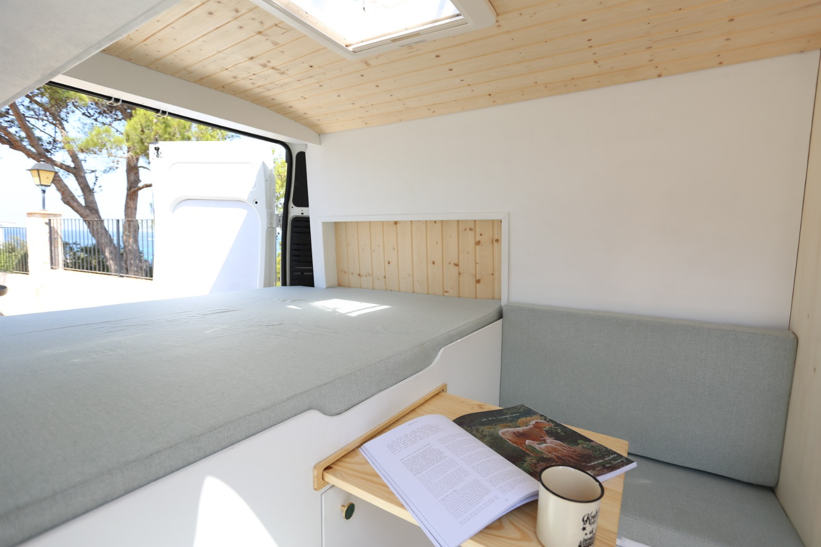 Campereta-de-Franja-Negra-8