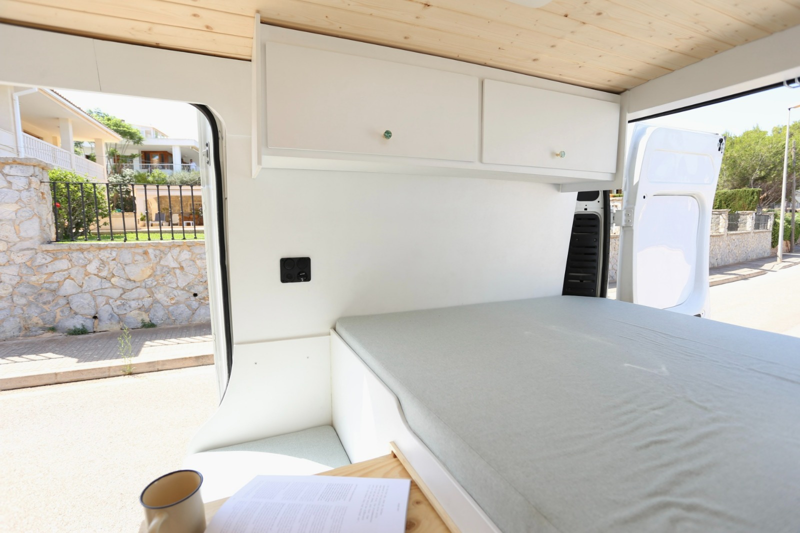 Campereta-de-Franja-Negra-9