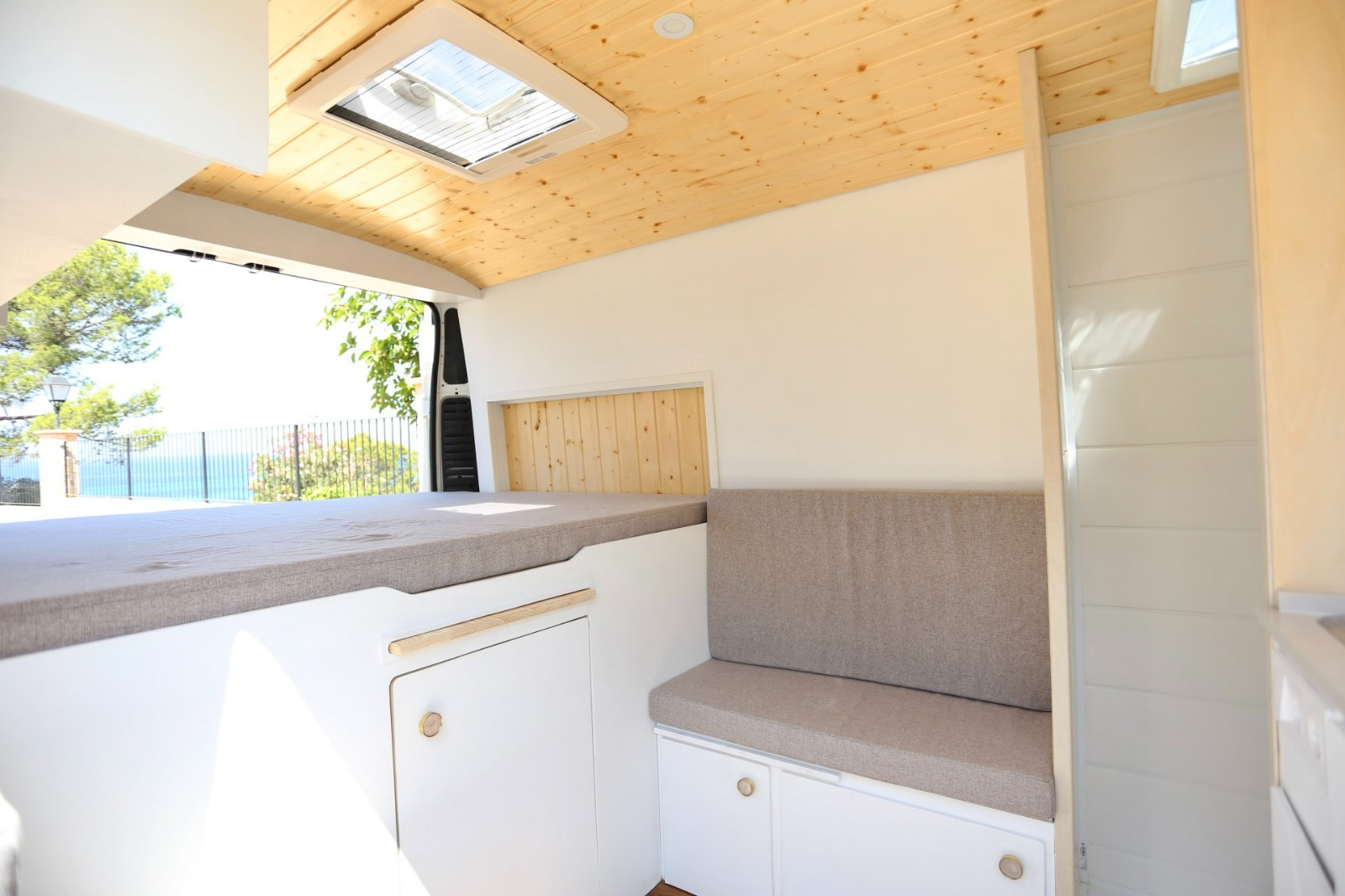 Campereta-de-Franja-Roja-1