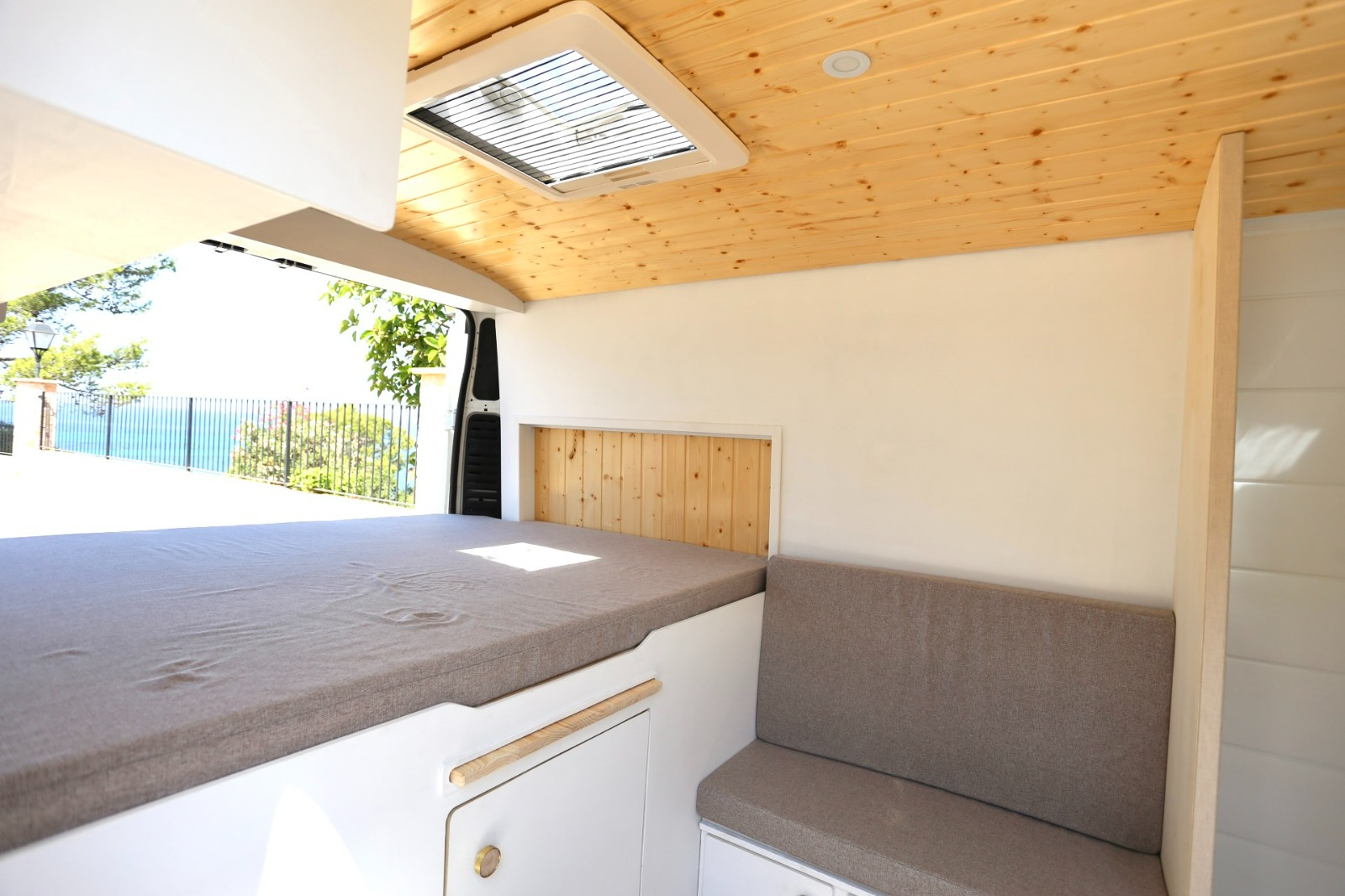 Campereta-de-Franja-Roja-2