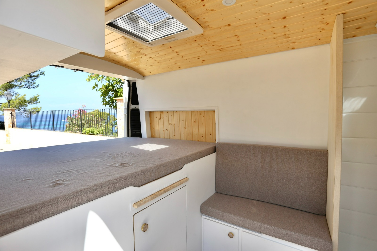 Campereta-de-Franja-Roja-3