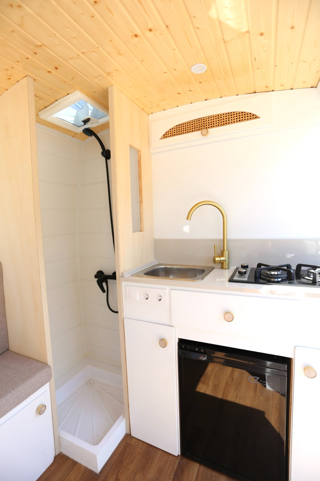 Campereta-de-Franja-Roja-5